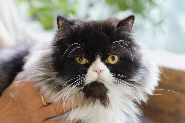 Famille et amis-NOV14-029